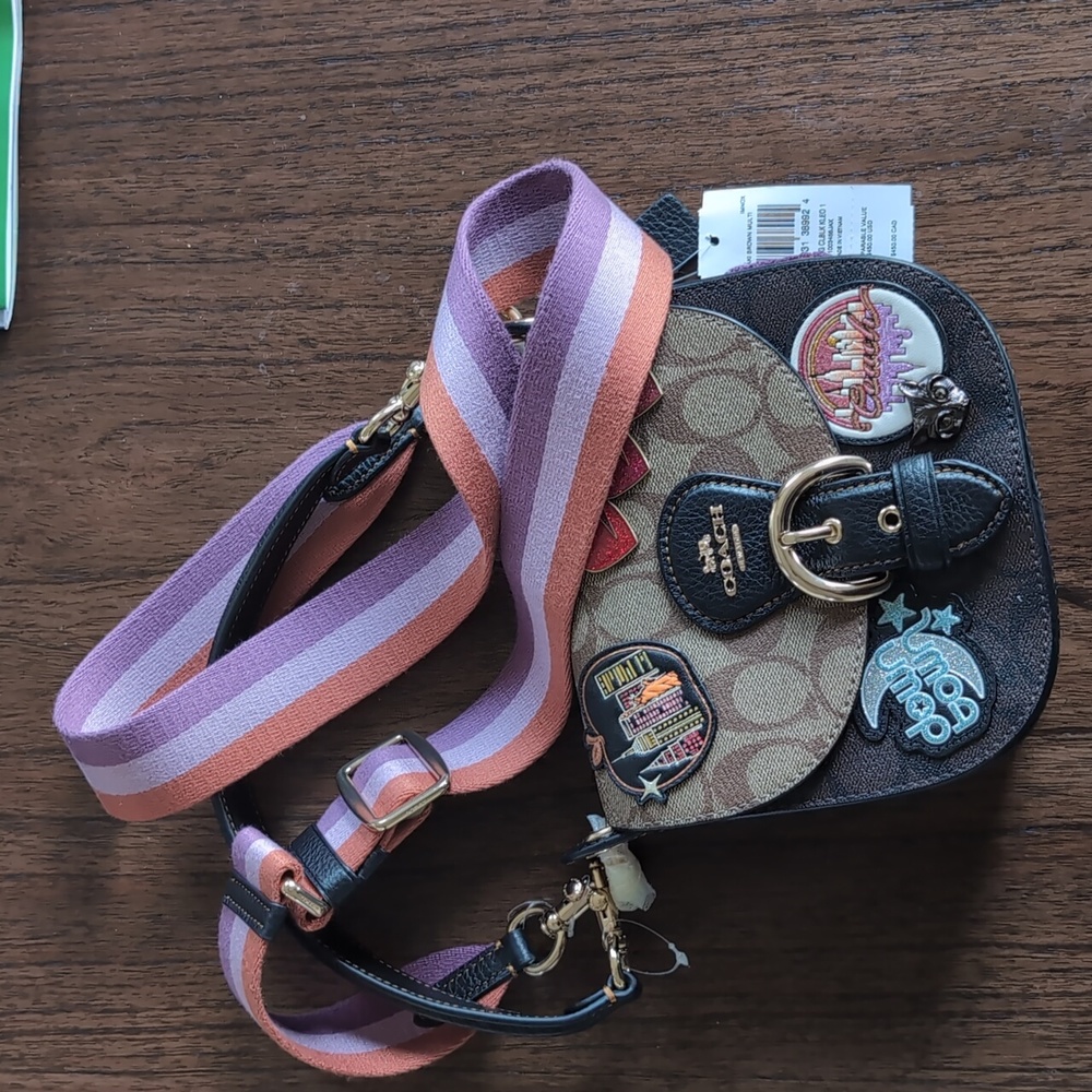 Coach Kleo Shoulder Bag 17